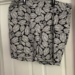 Terra & Sky Bermuda Shotrts